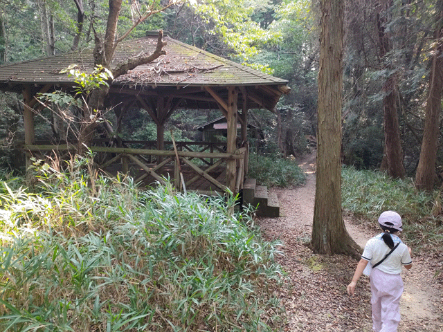 doujusan_10