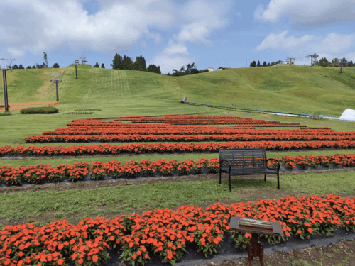 mt.hakodate_2