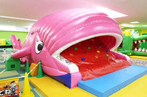 fantasykidsresort_8